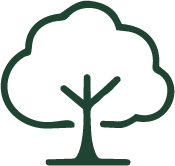 Tree planted Equivalent